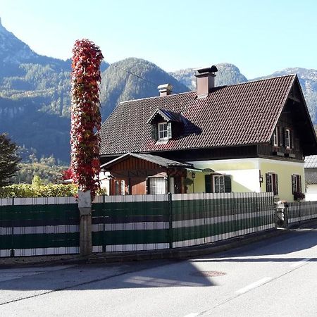 Апартаменты Haus Fratnik Обертраун Экстерьер фото